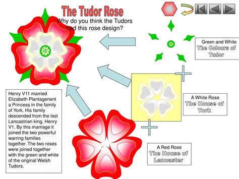 tudor rose facts for kids